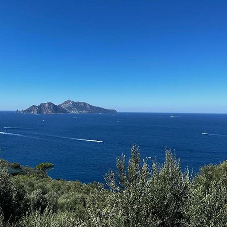 Apartment Don Luigino - Capri View By Interhome Massa Lubrense Kültér fotó